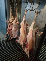QUZU (QOYUN əti) - LAMB MEAT HALAL