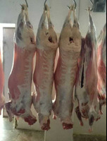 QUZU (QOYUN əti) - LAMB MEAT HALAL