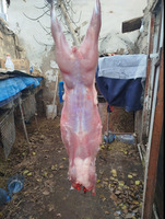 Dovşan eti sarilir halal kesilmiş halal ceki 1 ededi gelir 1k.800q. 1k.500q