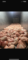 ПРОДАМ СВЕЖИЙ КУРДЮК