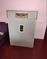 Inqubator satiram 1056 ədədlik toyuq və başqa quşların yumurtaları üçün