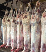 Qoyun əti satilir topdan  quzu əti halal