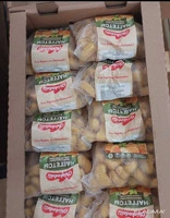 Nuggets Topdan