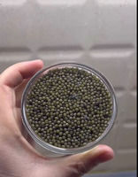 Orginal Mingecevirden gelen yeni Beluqa kürüsü .113 gr. Endirimdedir