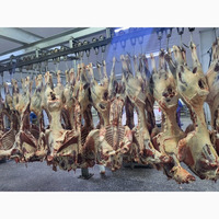 Продам тушки баранов с Монголии с 100 тонн, https://agro-azerbaijan.com/ru/trade/i-1016/