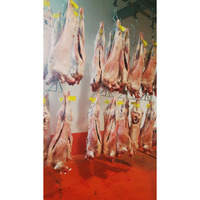 Quzu Cəmdəkləri Monqolustan Halal, topdansatış