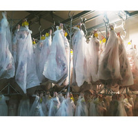Quzu Cəmdəkləri Monqolustan Halal, topdansatış