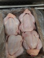 Курица бройлер Курица бройлер Toyug Broiler Topdan