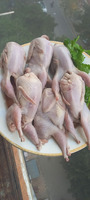 Təmizlənmiş bildirçin Əti  satilir