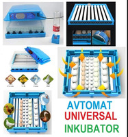Avtomatik inkibatorlar