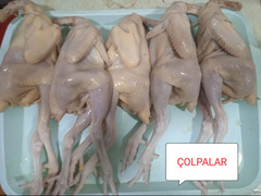 Çolpa əti kampaniya