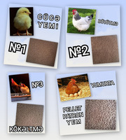 Yüksək proteinli yem