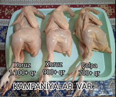 Xoruz əti