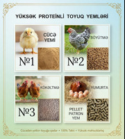 Cücə. Çolpa. Toyuq yemi