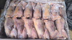 Kənd çolpaları