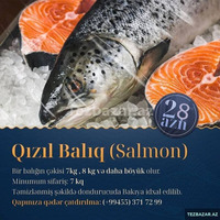 Syomqa baliq satilir  (Somon) Qizil balıq Okeandan Tutulub  Təmizlənmiş Syomqa