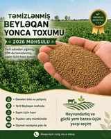 Yonca toxumu (Beyləqan sortu)