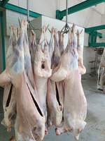 Mangoliya dan Gelen Export Goyun əti satilir 20 ton
