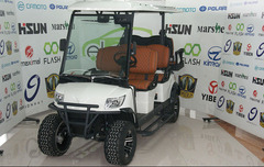Qolf kar satışı El avto 6 nəfərlik DH-M4+2