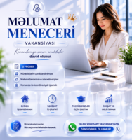 Məlumat Meneceri