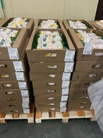 Hisə verilmiş ərzaqlar/Домашние Копченые продукты - 3