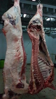 Dana Satilir Idxal Ukraina