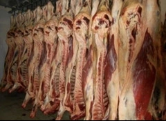 Mal əti, yarım cəmdəklər, Ukraynadan ixrac