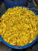 Bibər turşusu