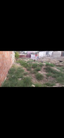 Sumqayit Hz Tagiyev qes C.Cabbarli Kuc